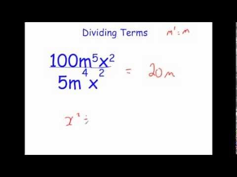 Dividing Algebraic Expressions