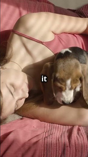 How Dog Imprinting Works (and Why You Should Care)