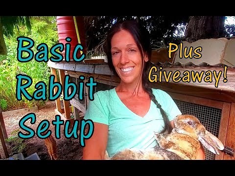 Raising Meat Rabbits - Getting Started - Basic Setup