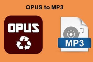 Opus to MP3 – How to Convert Opus to MP3 for Free - MiniTool Video Converter