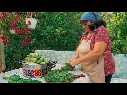 Cabbage & Beet Leaf Rolls - Traditional Village Feast
