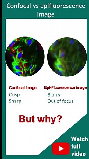 Confocal microscopy in 1 minute | principles of confocal microscopy | application of confocal