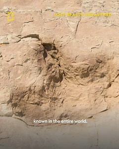 390K views · 5.6K reactions | Scientists are forever on a quest to...