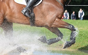 West Wilts Horse Trials (3): what riders need to know *H&H VIP* - Horse & Hound