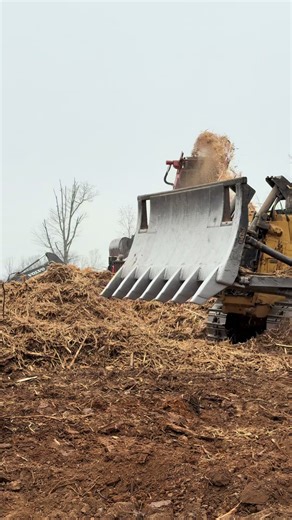 Land Clearing Techniques for Efficient Operations