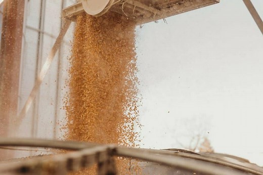 Ethanol and Biofuel: What It Is and How It's Used