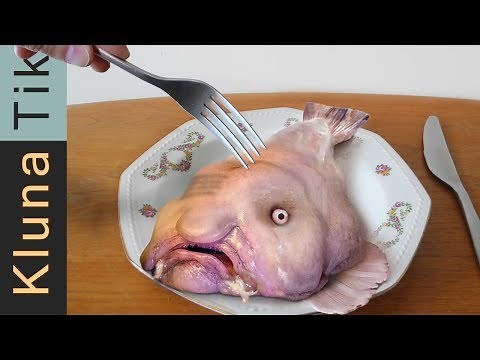 BLOBFISH TASTE TEST!!