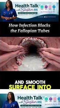 How Infection Block the fallopian tubes #pregnancy