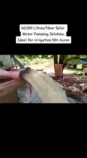 Think Solar on TikTok