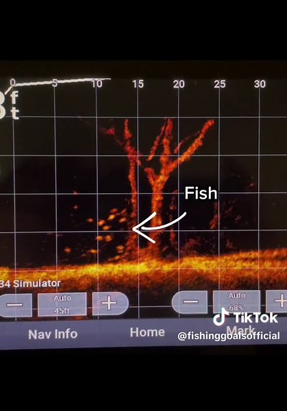 3 reasons to buy Livescope! #fishing #livescope #livesonar #castnet #baitfish