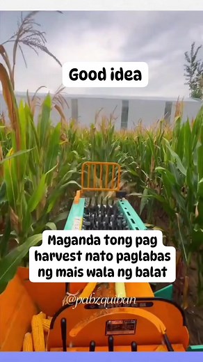 1.1K views · 19 reactions | Laking tulong nito sa mga farmers #harvesting #farmers #fypageシ #reelsvideoシ #sweetcorn | Pabz Quiban | Facebook
