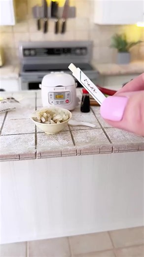 Rice Cooking Fun in a Tiny Kitchen