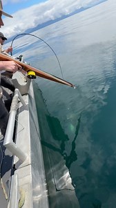453K views · 3.8K reactions | We pulled this monster halibut up on a salmon rod with 30lb test line so this was the perfect backup shot | Vlad Siryk | Facebook