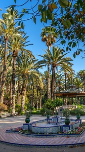 ¿Conoces el Palmeral de Elche? 🌴 Sin duda un paisaje cultural único, considerado como el bosque de palmeras más grande de toda Europa. ¿Te vienes a comprobarlo? #CostaBlanca #alicante #comunitatvalenciana #spain #turismodeinterior #turismorural #turismospain #turismoespaña #turismoalicante #paisaje #paisajesnaturales #naturaleza #nature #pueblosmagicos #puebloconencanto #palmeralElche #Elche | Turismo Costa Blanca