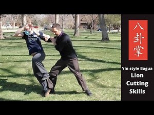 Yin Style Baguazhang: Lion Cutting Skills - 八卦掌 獅形
