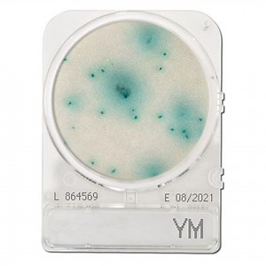 Compact Dry YM (Yeast & Mold) - PT. THERMALINDO SARANA LABORATORIA