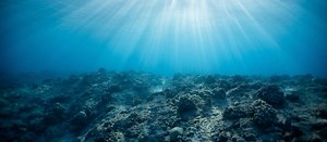 Ocean Pollution ~ MarineBio Conservation Society