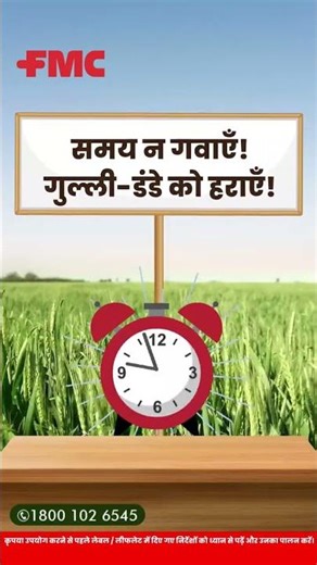 FMC India | 🔥 अम्ब्रिवा™ खरपतवारनाशक लाएँ – गुल्ली-डंडे से गेहूँ की फ़सल को बचाएँ!
