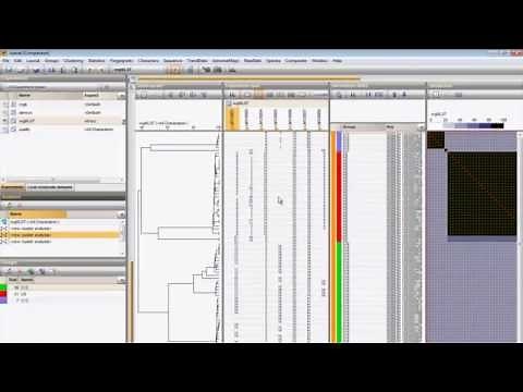 Whole genome MLST: Cluster analysis of wgMLST data (BioNumerics 7.5 & 7.6)