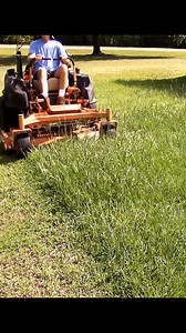 I'm mowing this tall thick bahia grass when it was filled with bahia seed stalks. A lot of people think that these are weeds, but they are the stalks carrying bahia grass seeds. Fun to mow! #satisfying #asmr #relaxing #garden #lawncare #mowing #lawnmower #Nice #working | Something 2LookAt