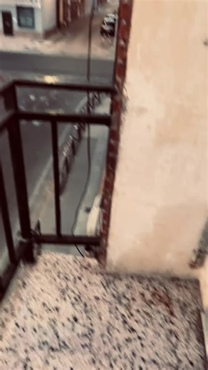 Libre como el viento: Canciones de amor y libertad