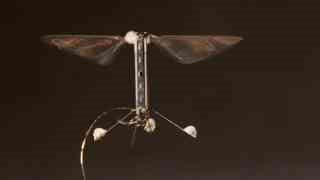 Why MIT Engineers Are Developing Ultra-Small Robotic Bugs