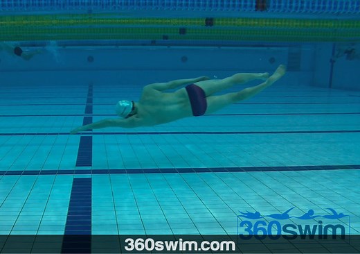 A Beginner's Guide to the Freestyle Arm Stroke