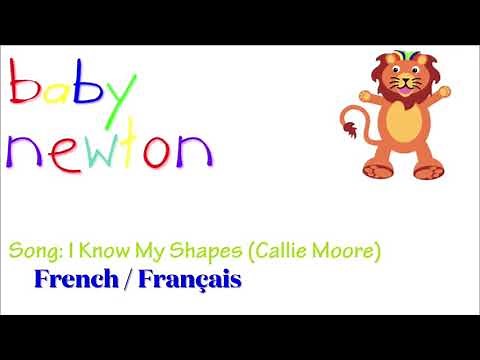 Baby Einstein: Baby Newton - I Know My Shapes (2004) (French)