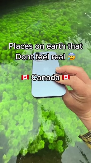 Most beatiful places in Canada 🤩✨ #adventure #travel #nature #explore #canada #canada🇨🇦 #🇨🇦