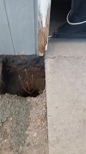 House Leveling Project on Reels