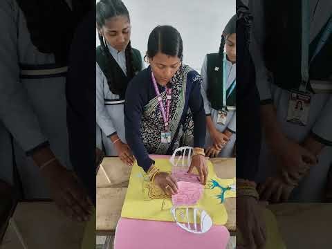 Layers of the Body | Human Anatomy | Biology Class 9 & 10 | Mrs. K. Chaturvedi | Chaitanya School