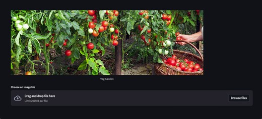 Plant Disease Detection and Diagnosis using AI and Machine Learning