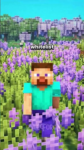 Starting a Minecraft server? Minecraft Server Tips You Should Know