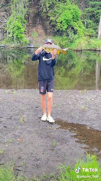 Expert Tips for Using a Baitcaster in Fishing