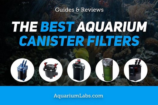 9 Best Canister Filters for Aquariums [[currentyear] Reviews & Guide] | Aquarium Labs