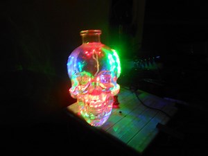 Crystal Head Vodka Skull Led Project!