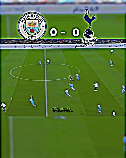 Manchester City vs Tottenham 2022 Highlights