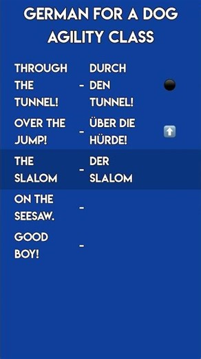 German for Dog Agility Class! 🐕 Obstacle Course Vocabulary!