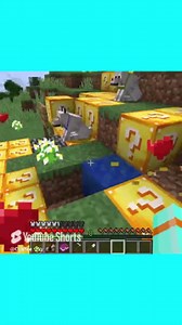 Minecraft but Everything I Touch Turns to Lucky Blocks