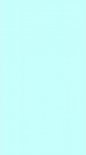 Chapter Birth | Project of English | Class 11 Cbse