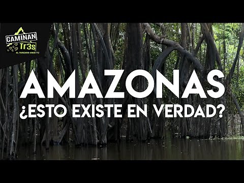 SEEING IS BELIEVING. THE JUNGLE SPEAKS OUT Natamú in the Amazon | CaminanTr3s, The third is you!
