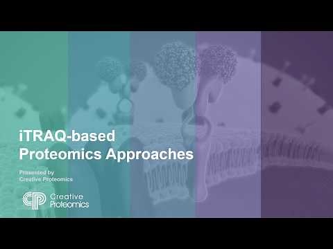 Proteomics Quantification: iTRAQ