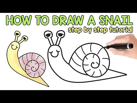 Learn How to Draw a Snail - Step by Step Drawing Tutorial