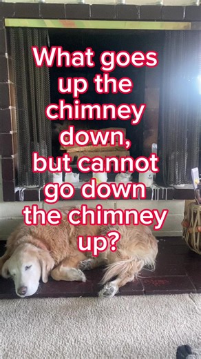 5.2K views · 13 reactions | Riddle me this. Any guesses? #riddle #brainteaser #justforfun #riddlemethis | Sara L | Facebook