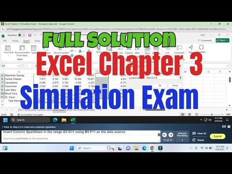Excel Chapter 3 Simulation Exam | Excel Simulation Exam | Full Solution | ‪@PearsonSolution‬