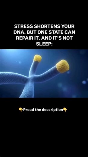 Mykola Kobzar on Instagram: "At the ends of vour chromosomes are protective caps called telomeres. They're like the tips of shoelaces--thev prevent DNA from fraying. Every time a cell divides, telomeres get shorter. When thev're too short, the cell dies. These are the biological clocks of aging And scientists discovered something shocking stress speeds up this clock dramatically. But one inner state can trigger the reverse process. 5 facts that will change how you see stress: 1. Elizabeth Blackb