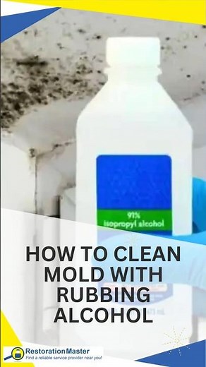 How to Remove Mold With Rubbing Alcohol | Quick 5 Step Guide