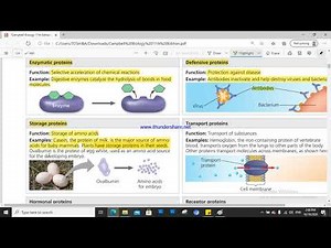 Chapter 5 : Macromolecules 3, Proteins 1