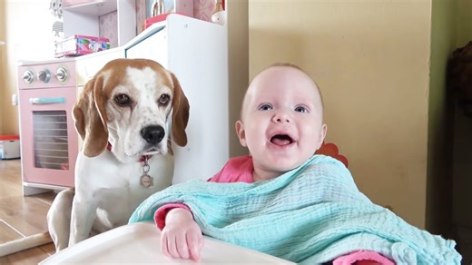 Baby feeds her beagle dogs for the very first time