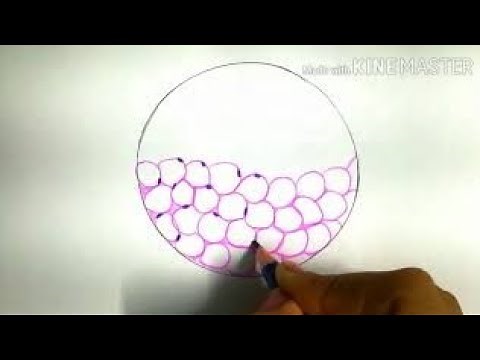 Histology easy diagrams ...adipose tissue..
